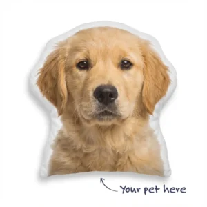 Custom 3D Shaped Pet Pillow